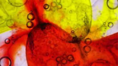 Harika desenler renkler ve boyalar