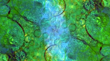 Harika desenler renkler ve boyalar