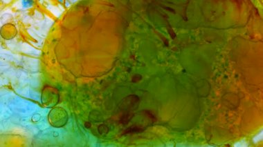 Harika desenler renkler ve boyalar