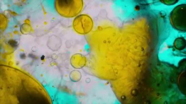 Mikroskobik desenleri, renkleri ve boyalar