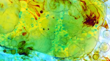 Mikroskobik desenleri, renkleri ve boyalar