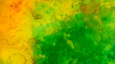 Mikroskobik desenleri, renkleri ve boyalar