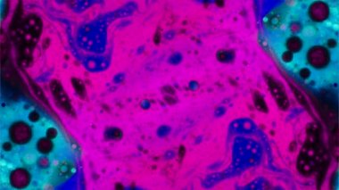 Mikroskobik desenleri, renkleri ve boyalar