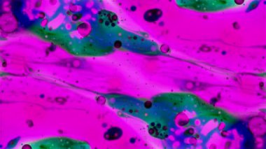 Mikroskobik desenleri, renkleri ve boyalar