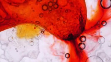 Mikroskobik desenleri, renkleri ve boyalar