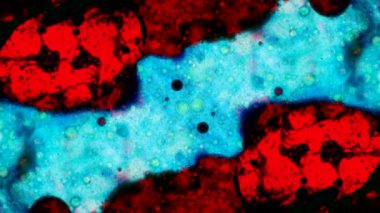 Mikroskobik desenleri, renkleri ve boyalar