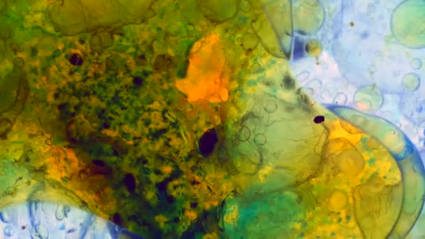 Modèles microscopiques de couleurs et de peintures — Video