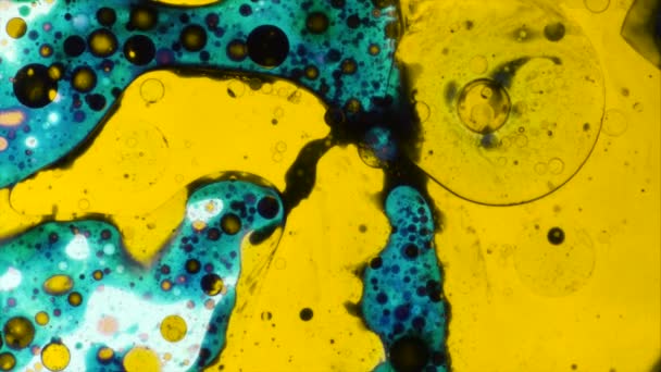 Modèles microscopiques de couleurs et de peintures — Video