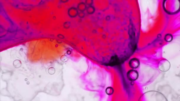 Мікроскопічні візерунки кольорів і фарб — стокове відео