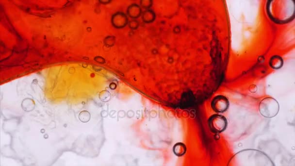 Modelli microscopici di colori e vernici — Video Stock