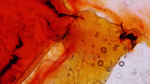 Modèles microscopiques de couleurs et de peintures 