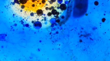 Mikroskobik desenleri, renkleri ve boyalar