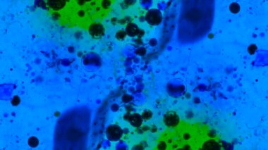 Mikroskobik desenleri, renkleri ve boyalar