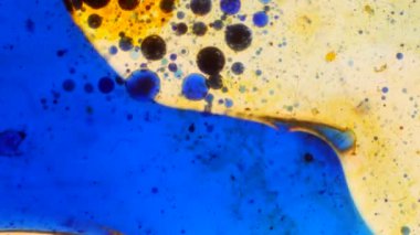 Mikroskobik desenleri, renkleri ve boyalar