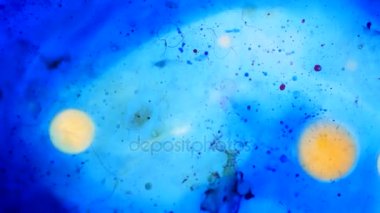 Mikroskobik desenleri, renkleri ve boyalar