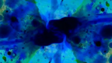 Mikroskobik desenleri, renkleri ve boyalar