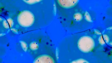 Mikroskobik desenleri, renkleri ve boyalar