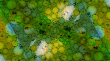 Mikroskobik desenleri, renkleri ve boyalar