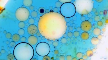 Mikroskobik desenleri, renkleri ve boyalar