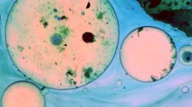 Mikroskobik desenleri, renkleri ve boyalar