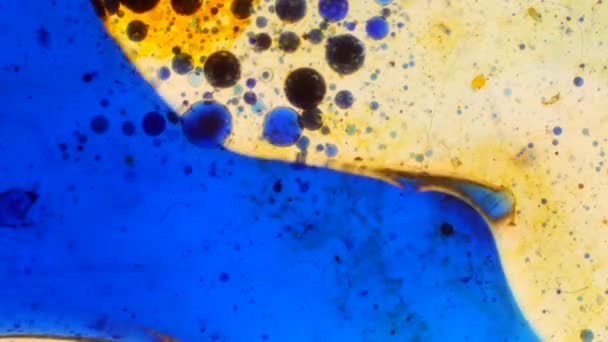 Microscopic Patterns of Colors and Paints — Stock Video