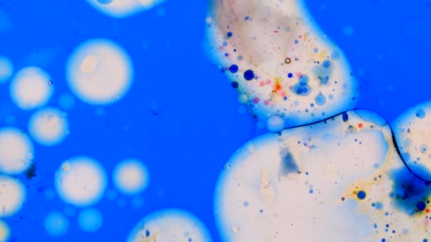 Microscopische patronen van kleuren en verven — Stockvideo