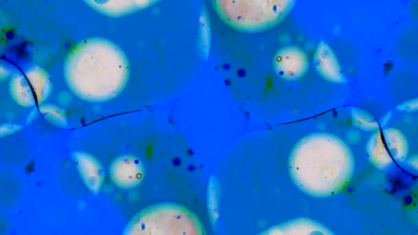 Microscopische patronen van kleuren en verven — Stockvideo