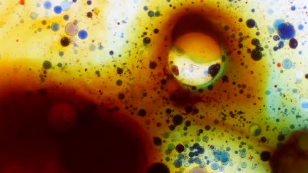 Modelli microscopici di colori e vernici — Video Stock