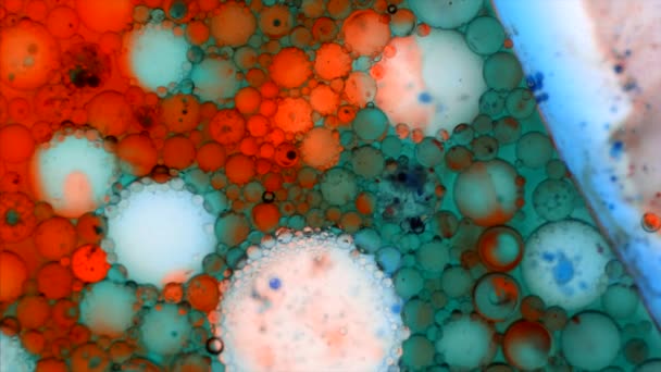 Modelli microscopici di colori e vernici — Video Stock