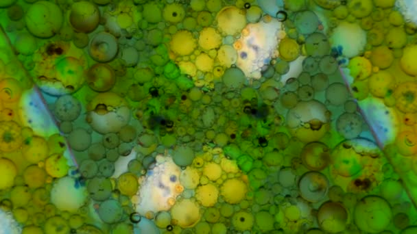 Mikroskobik desenleri, renkleri ve boyalar — Stok video