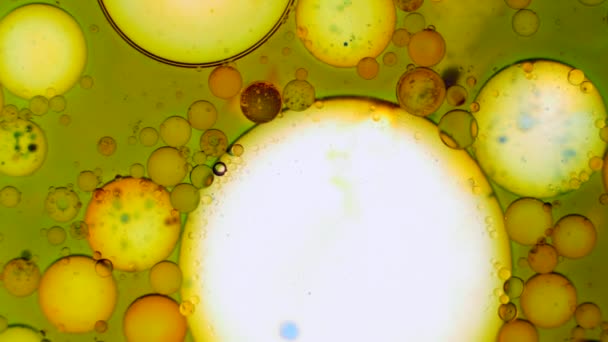 Mikroskopische Muster von Farben und Farben — Stockvideo