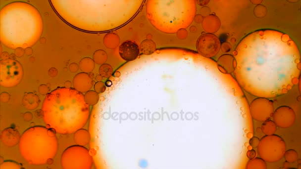 Microscopische patronen van kleuren en verven — Stockvideo