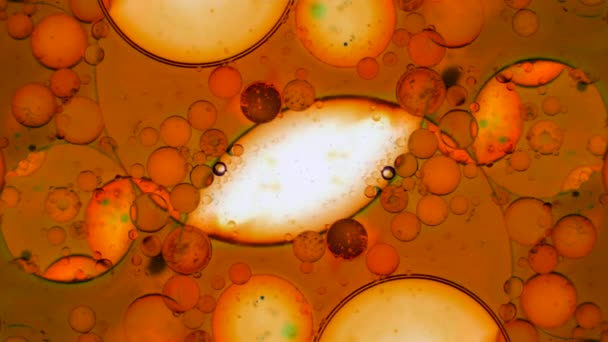 Microscopic Patterns of Colors and Paints — Stock Video