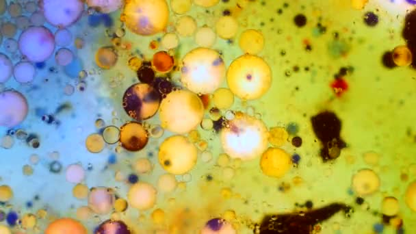 Pola Mikroskopis Warna dan Cat — Stok Video