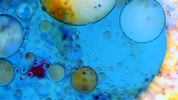 Microscopische patronen van kleuren en verven — Stockvideo