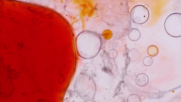 Microscopische patronen van kleuren en verven — Stockvideo