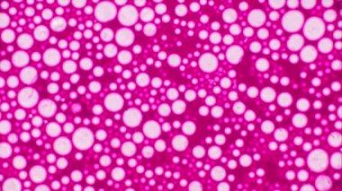 Mikroskobik desenleri, renkleri ve boyalar