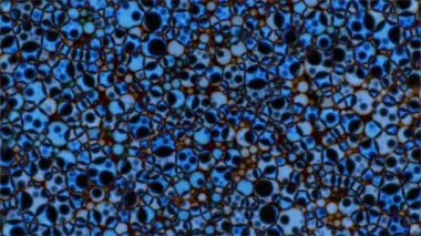 Mikroskobik desenleri, renkleri ve boyalar