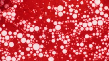 Mikroskobik desenleri, renkleri ve boyalar