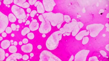 Mikroskobik desenleri, renkleri ve boyalar