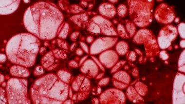 Mikroskobik desenleri, renkleri ve boyalar