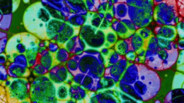 Mikroskobik desenleri, renkleri ve boyalar