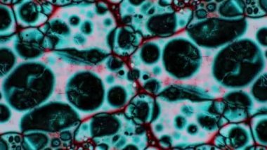 Mikroskobik desenleri, renkleri ve boyalar