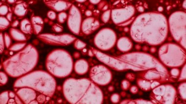 Mikroskobik desenleri, renkleri ve boyalar