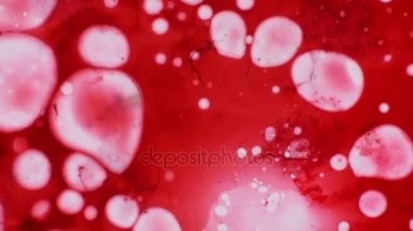 Mikroskobik desenleri, renkleri ve boyalar