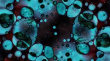 Mikroskobik desenleri, renkleri ve boyalar