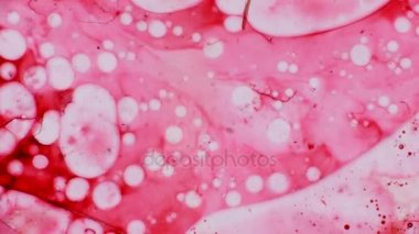 Mikroskobik desenleri, renkleri ve boyalar