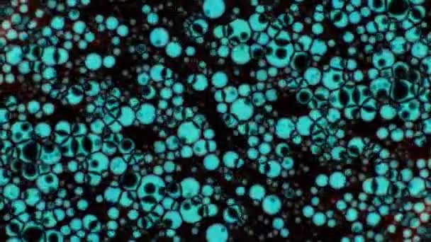 Modelli microscopici di colori e vernici — Video Stock