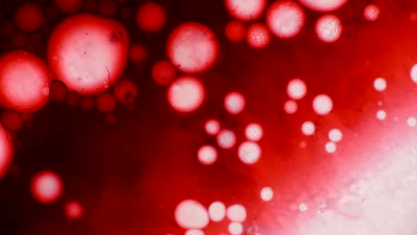 Modèles microscopiques de couleurs et de peintures 