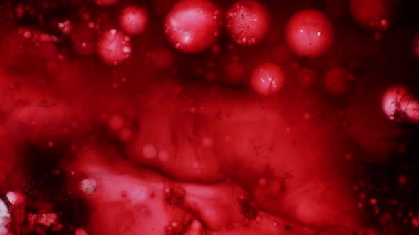 Modèles microscopiques de couleurs et de peintures 